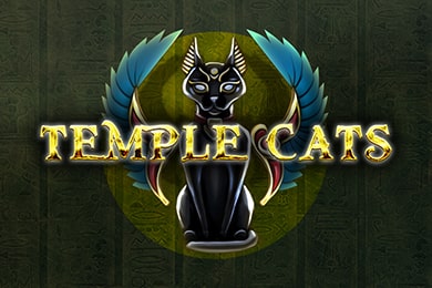 Templecats Водка Казино слот